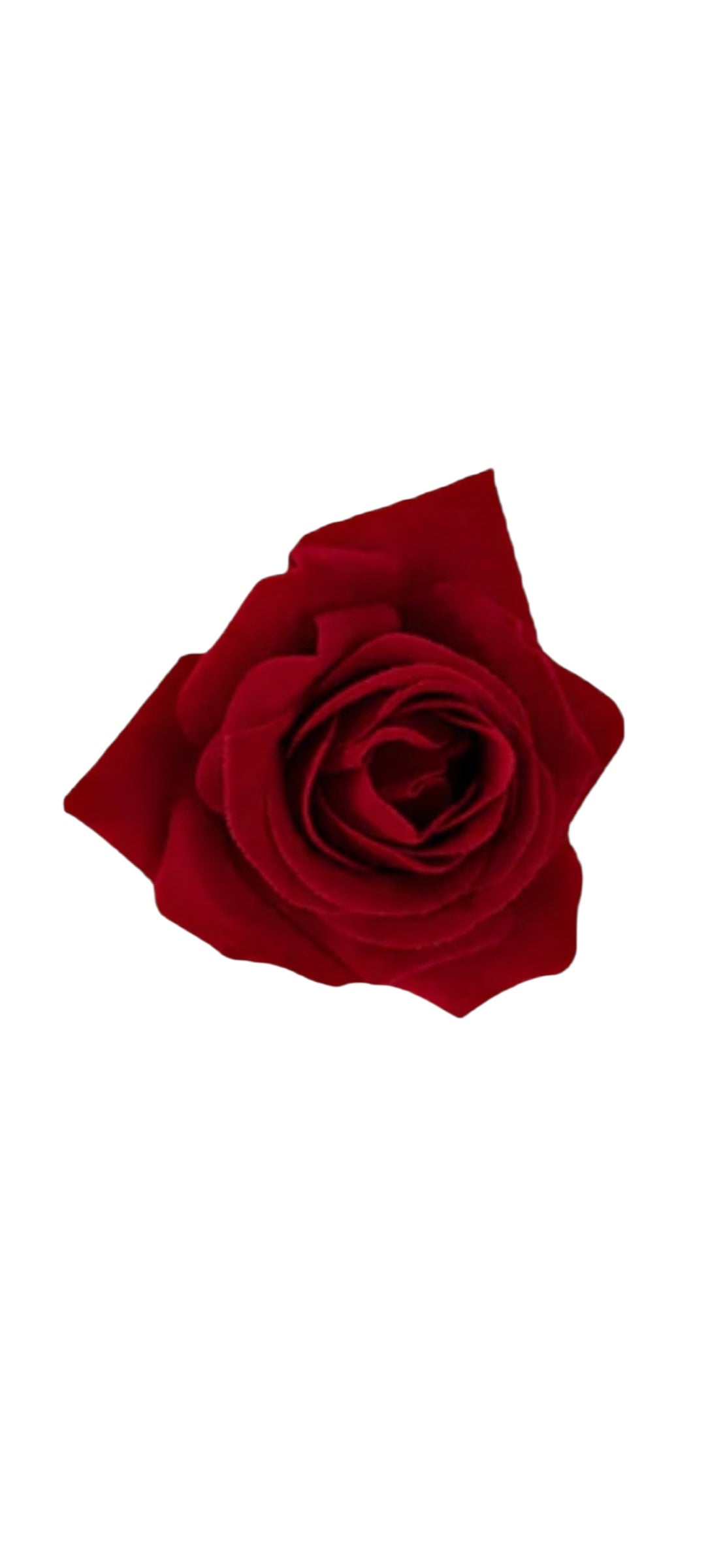 Rose Flower Hair Clip - Red Velvet