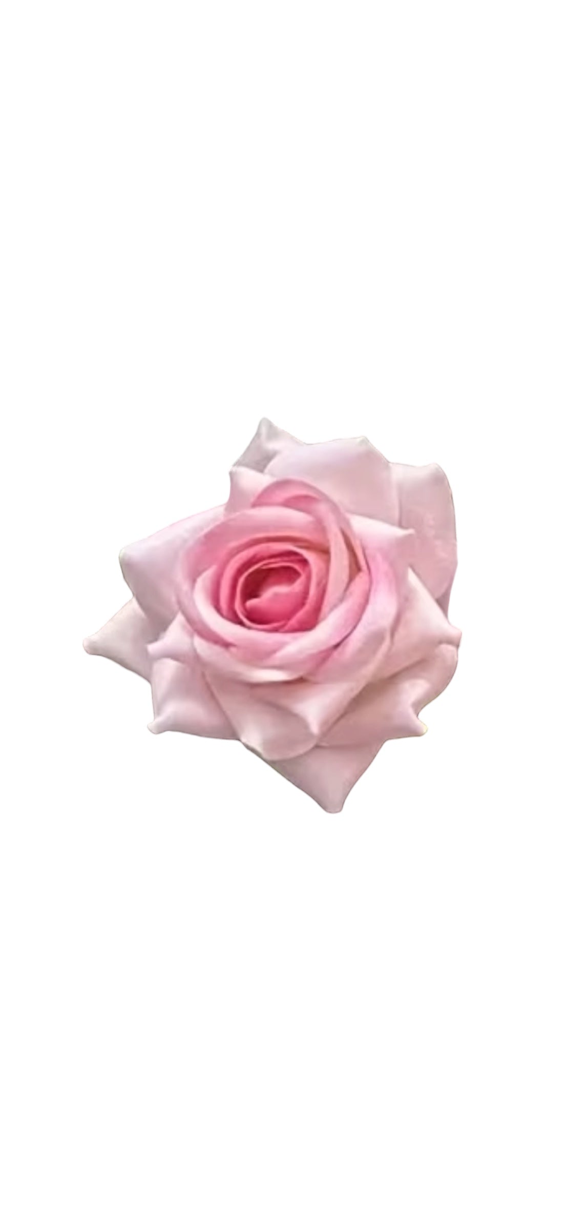 Rose Flower Hair Clip - Velvet Pastel Pink