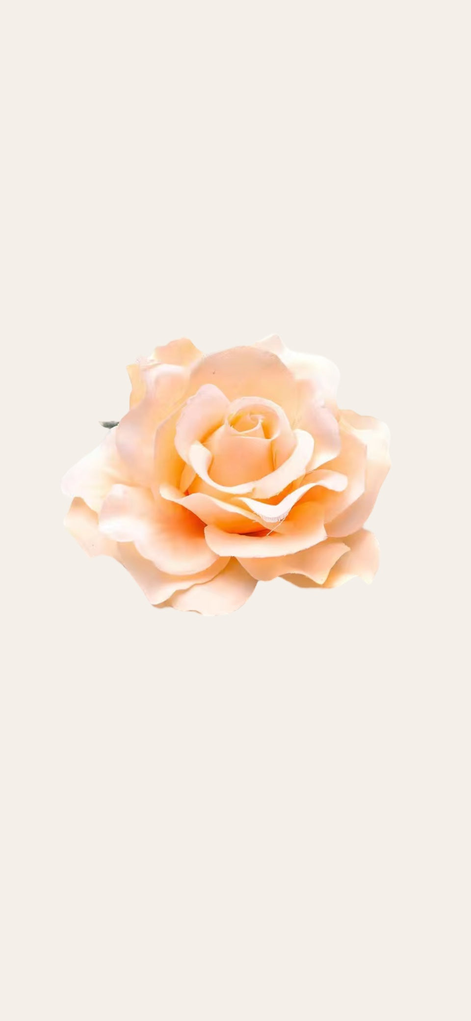 Rose Flower Hair Clip - Peach