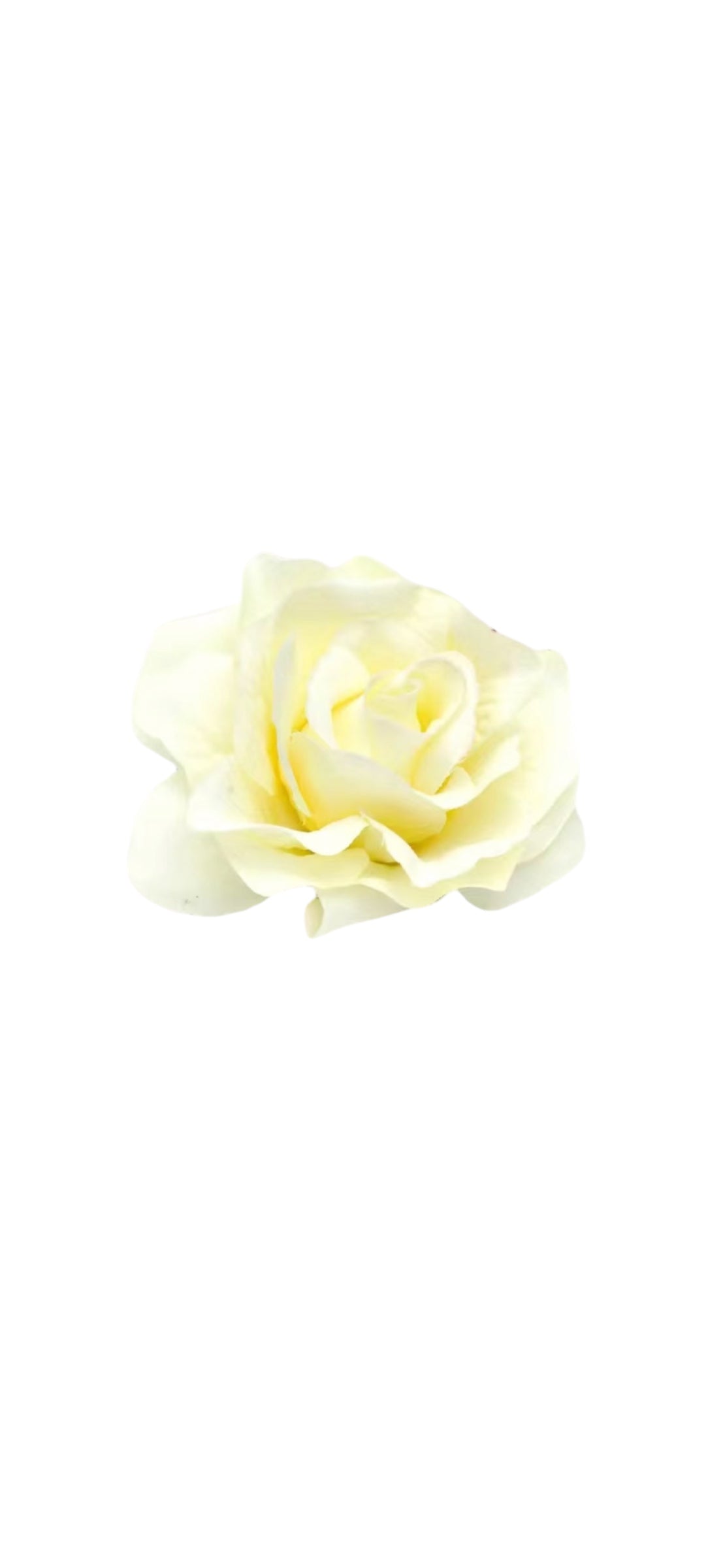 Rose Flower Hair Clip - Ivory