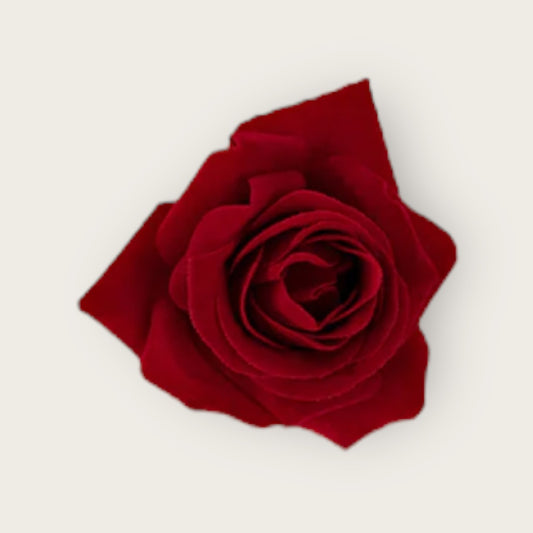 Rose Flower Hair Clip - Red Velvet